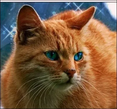 Qui sont ses demi-frères ?