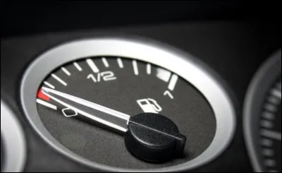 Avec l'érable, vous seriez plutôt... (Complétez !)