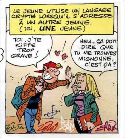 La jeunesse, c'est la fleur de...