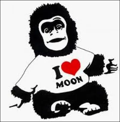 On fait un petit détour par la French Touch avec le groupe...