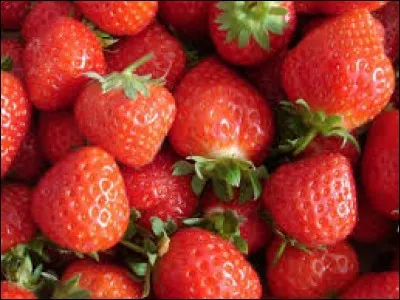 Dans quel département de la Bretagne se trouve la ville de Plougastel-Daoulas connue pour sa production de fraises ?