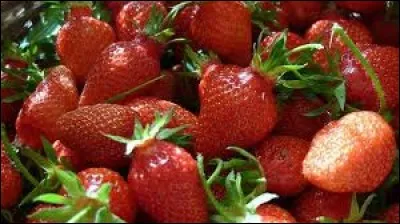 Quelle est la variété de fraise la plus vendue en France ?