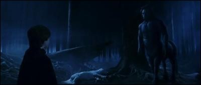 Dans le film "Harry Potter à l'école des sorciers", où Harry potter découvre-t-il une licorne blessée ?