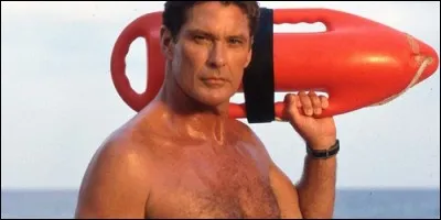 Comment se prénomme le héros dans "Alerte à Malibu" ?