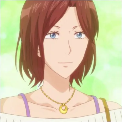 Dans quel concours la soeur de Sata a-t-elle voulu faire participer Erika ?