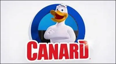 Quelle similitude avec l'anatomie du canard a fait choisir ce nom pour la marque Canard-WC ?