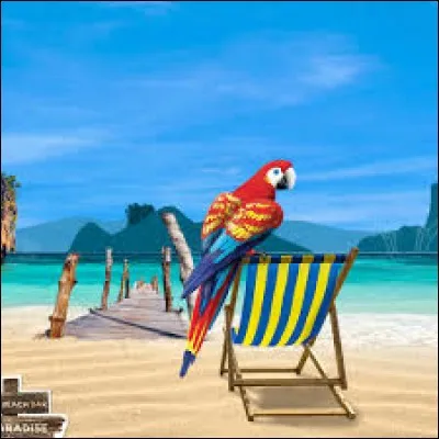 Complétez le slogan prononcé par Coco, le perroquet : ''Quand c'est trop, c'est ------------- ! ''