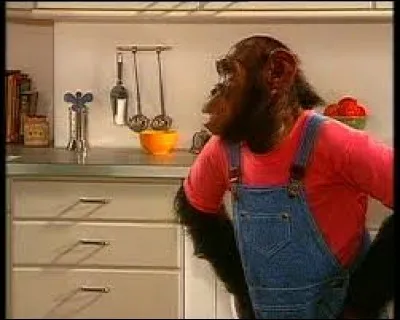 Complétez ces paroles que ''prononçaient'' des singes pour une marque de lessive : 
''------------ micro,tutti rikiki maousse costo ! ''