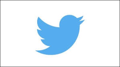 Quel réseau social a pour emblème un oiseau bleu ?