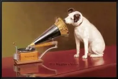 Comment s'écrit le nom de l'appareil écoutait le chien qui était sur le tableau commandé par la marque ''La voix de son maître'' ?