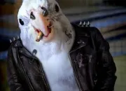 Quiz Les animaux font le clown (10)