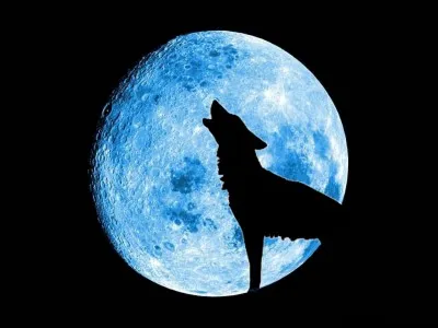 Hergé est le créateur du grand personnage de Tintin, et de son chien ...