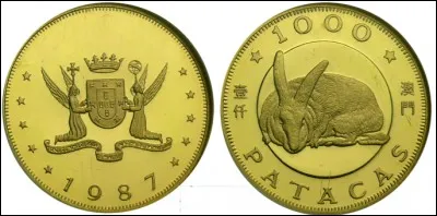 Dans quel pays circule le pataca ?