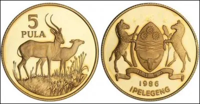 Dans quel pays circule le pula ?