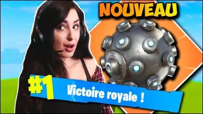 Comment appelle-t-on cette grenade ?