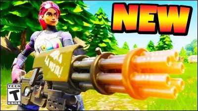 Comment appelle-t-on cette arme ?