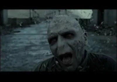 Comment Voldemort meurt-il dans le film ?