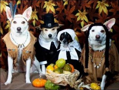 Combien il y a de chiens ?