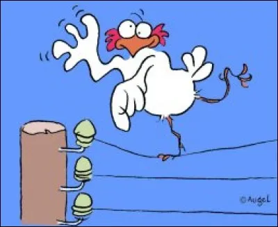 Pourquoi les oiseaux peuvent-il se poser sur les fils électriques ?