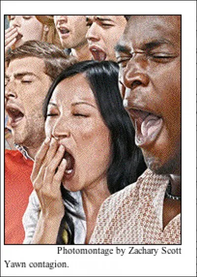 Un bon bailleur en fait bailler...