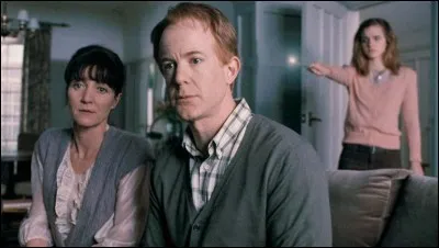 Quel métier exercent les parents (qui sont des Moldus) d' Hermione Granger ?