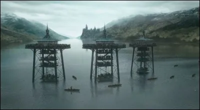 Quel personnage n'a jamais donné (livre et film) de branchiflore à Harry pour gagner la deuxième épreuve du tournoi des trois sorciers ?