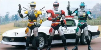 Ces justiciers forment :