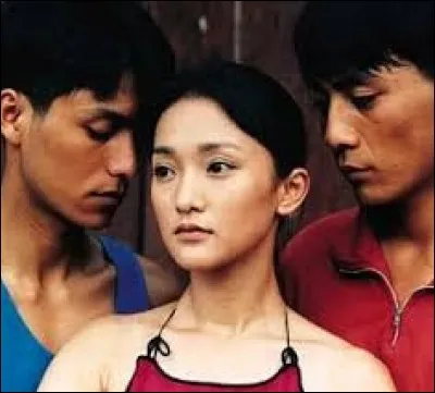 Dai Sijie a écrit "... et la petite tailleuse chinoise".