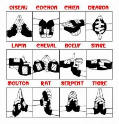 Est-on est oblig&eacute; de faire des signes de main pour r&eacute;aliser toutes les techniques ninjas ?