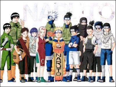 Combien y a-t-il d'&eacute;pisodes en tout dans l'anime &laquo;&nbsp;Naruto&nbsp;&raquo; ?