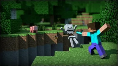 "Minecraft "a des survivals et des créatifs.