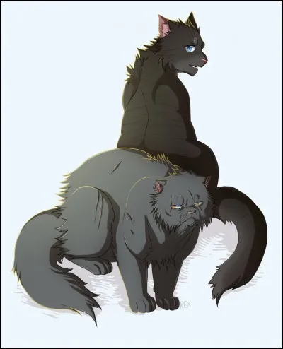 Le héros rencontre une chatte du Clan ...