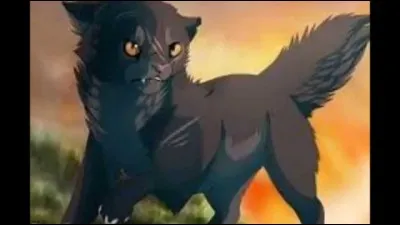 Après avoir rencontré cette chatte, il est puni. Mais quelle est la punition?