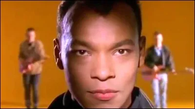 Qui a réalisé le clip "She Drives Me Crazy" des Fine Young Cannibals en 1989 ?