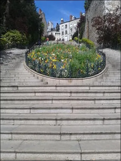 Où se trouve l'escalier Denis-Papin ? (Loir-et-Cher)