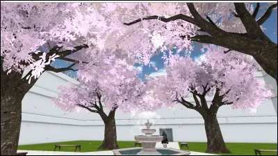 Ton endroit pr&eacute;f&eacute;r&eacute; de l'&eacute;cole c'est...