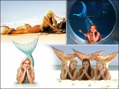 Quel est ton caractère ?