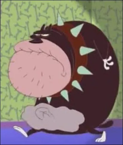 Qui est Bob ce gros bouledogue ?