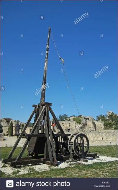 De ces trois mots, lequel peut désigner un animal, mais également une plante et un engin de siège du moyen-âge !