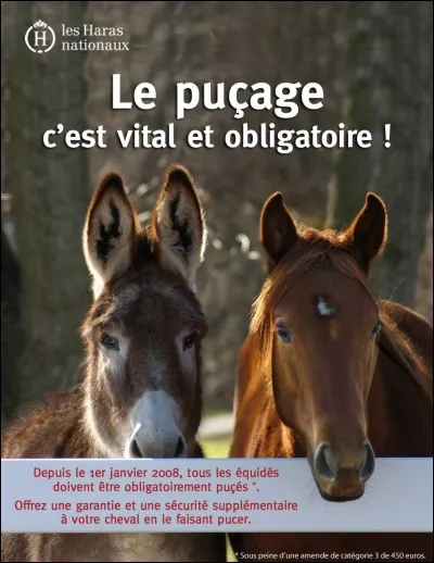 Où place-t-on la puce électronique ?