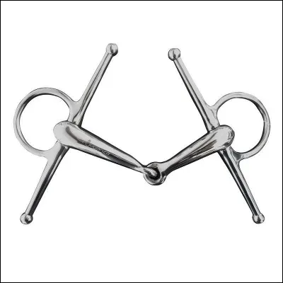 Quel est le mors sur la photo ?