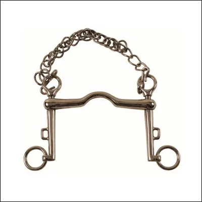 Quel est le mors sur la photo ?