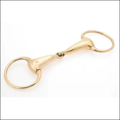 Quel est le mors sur la photo ?