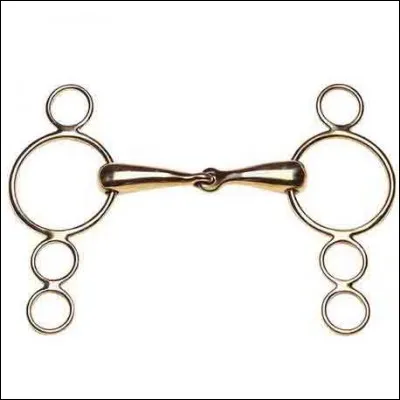Quel est le mors sur la photo ?