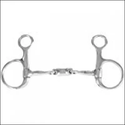 Quel est le mors sur la photo ?