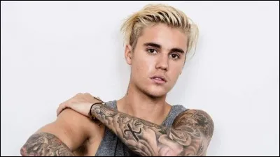 Qui est ce chanteur ?