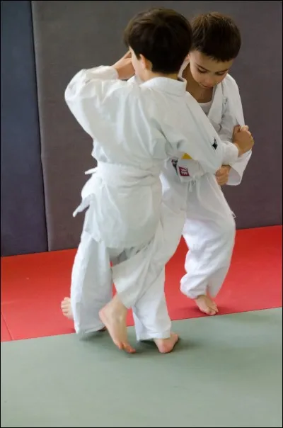 Choisis le mot correct pour compléter cette phrase : 
Arthur et Esteban ..... du judo