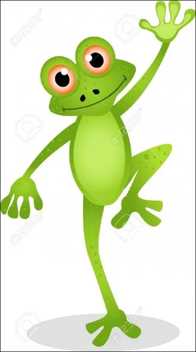 La grenouille est un ...