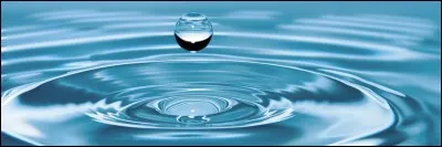 Combien de litres d'eau doit boire un cheval par jour en moyenne ?