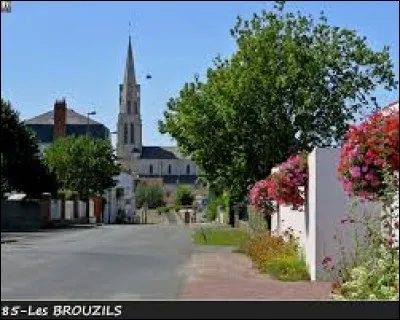 Ville des Pays-de-la-Loire, Les Brouzils se situe dans le département ...